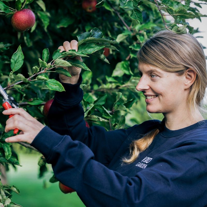 Charlotta från VXO Garden beskär äppelträd.